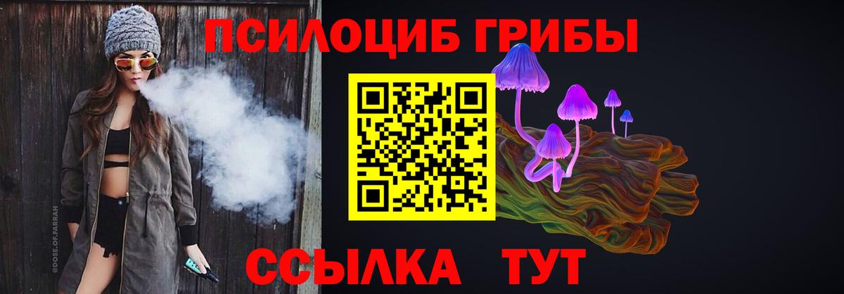 Ногинск  Галлюциногенные грибы Magic Shrooms  наркота  Вход с VPN 